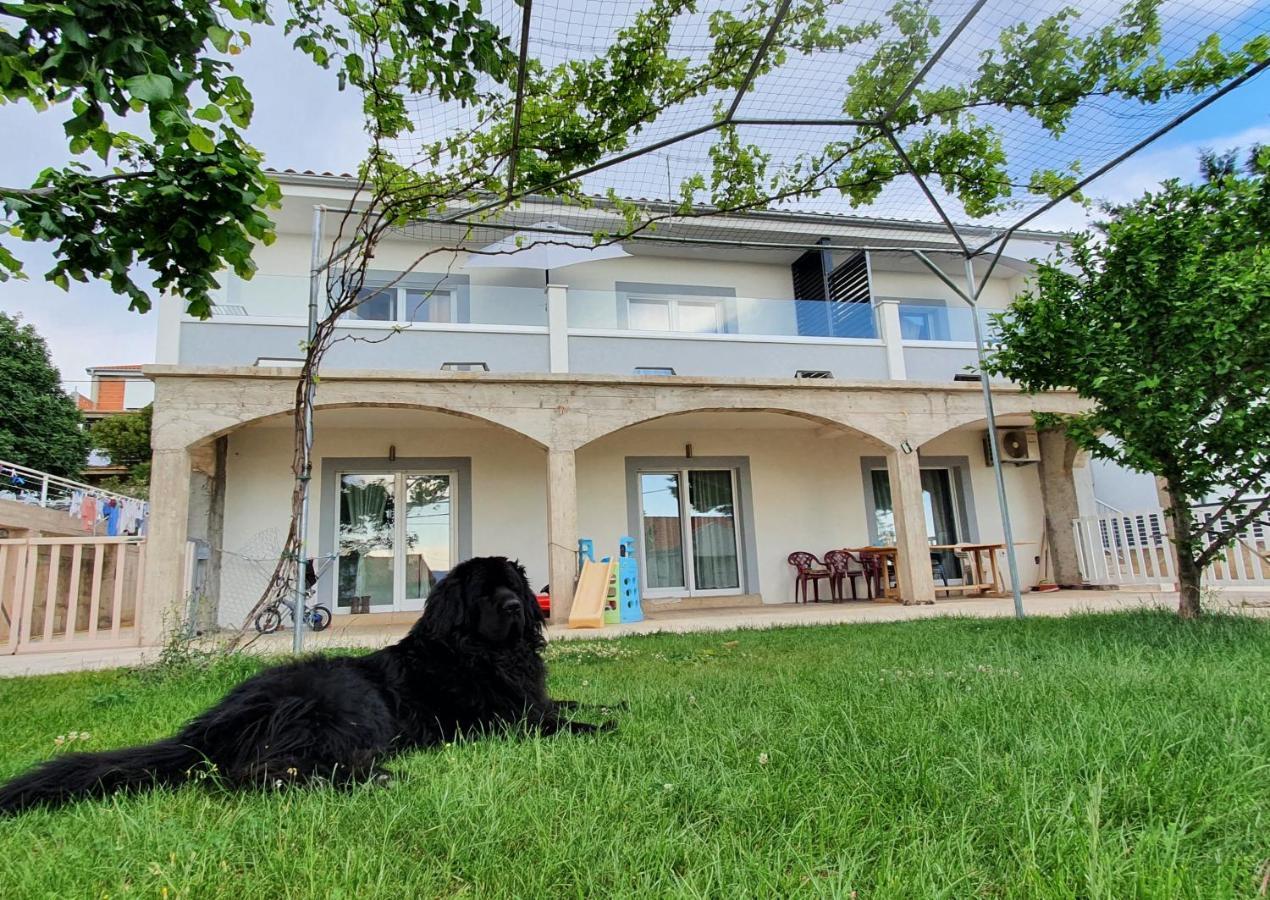 Apartmani Naomi&Leo เซนญ์ ภายนอก รูปภาพ